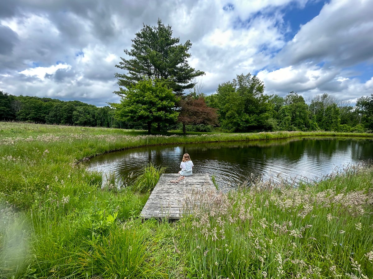 Meeting Myself at the Pond: Inside, Away