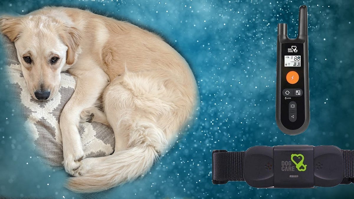 How to Sync Your Dog’s Care Collar by BeaconPet Medium