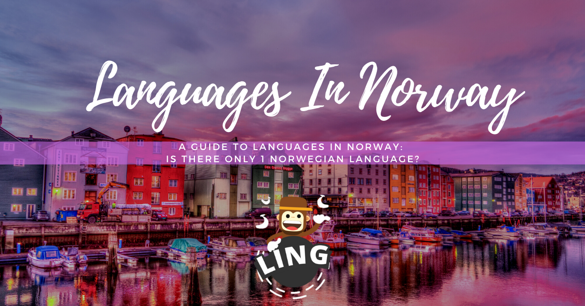3+ Languages In Norway An Easy Guide by Ling Learn Languages Medium