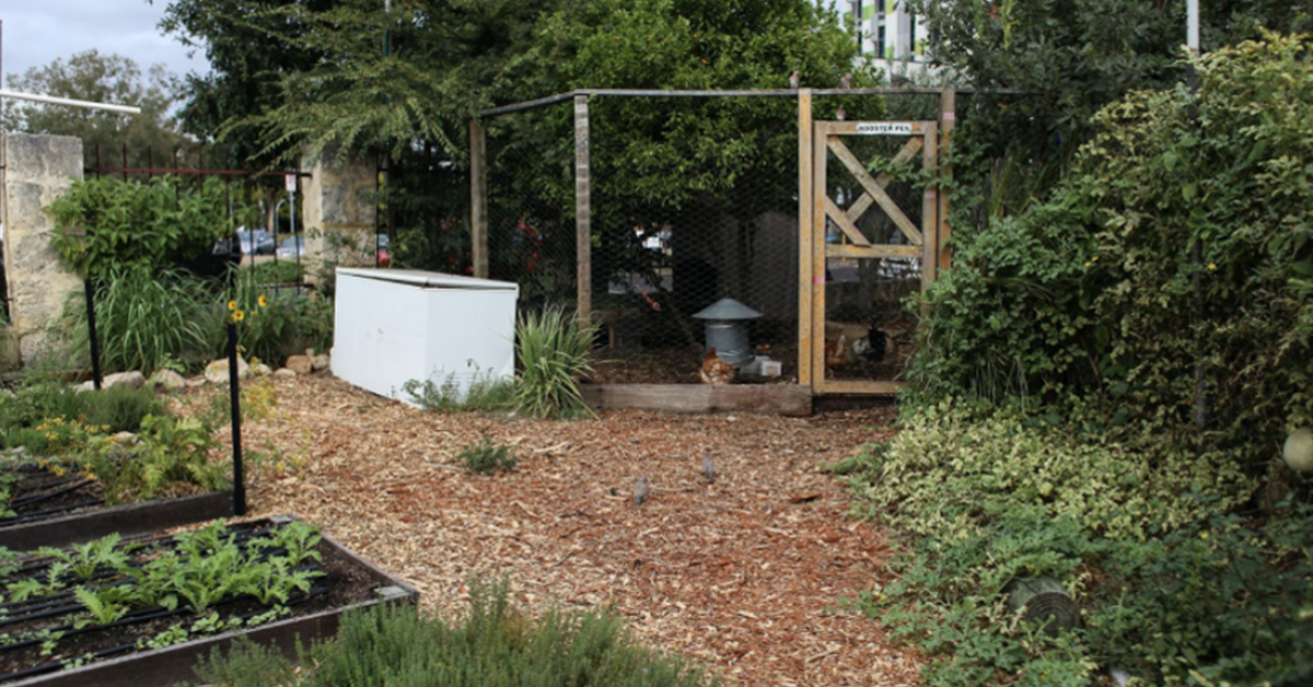 How to Make Your Own Compost for Your Florida Garden Pyles Lawn