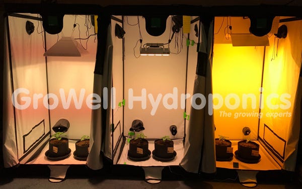 Building Your First Indoor Grow Room Setup | by GroWell Hydroponics | Medium