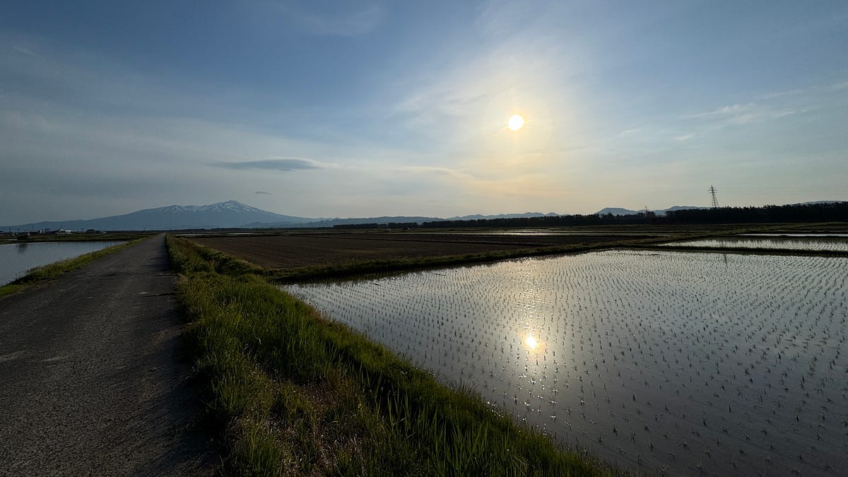 The sun rises over Chokai-san and the rice fields of Sakata. All images by Kiwi Yamabushi unless otherwise stated. Story originally published on my Substack at Kiwiyamabushi.com.