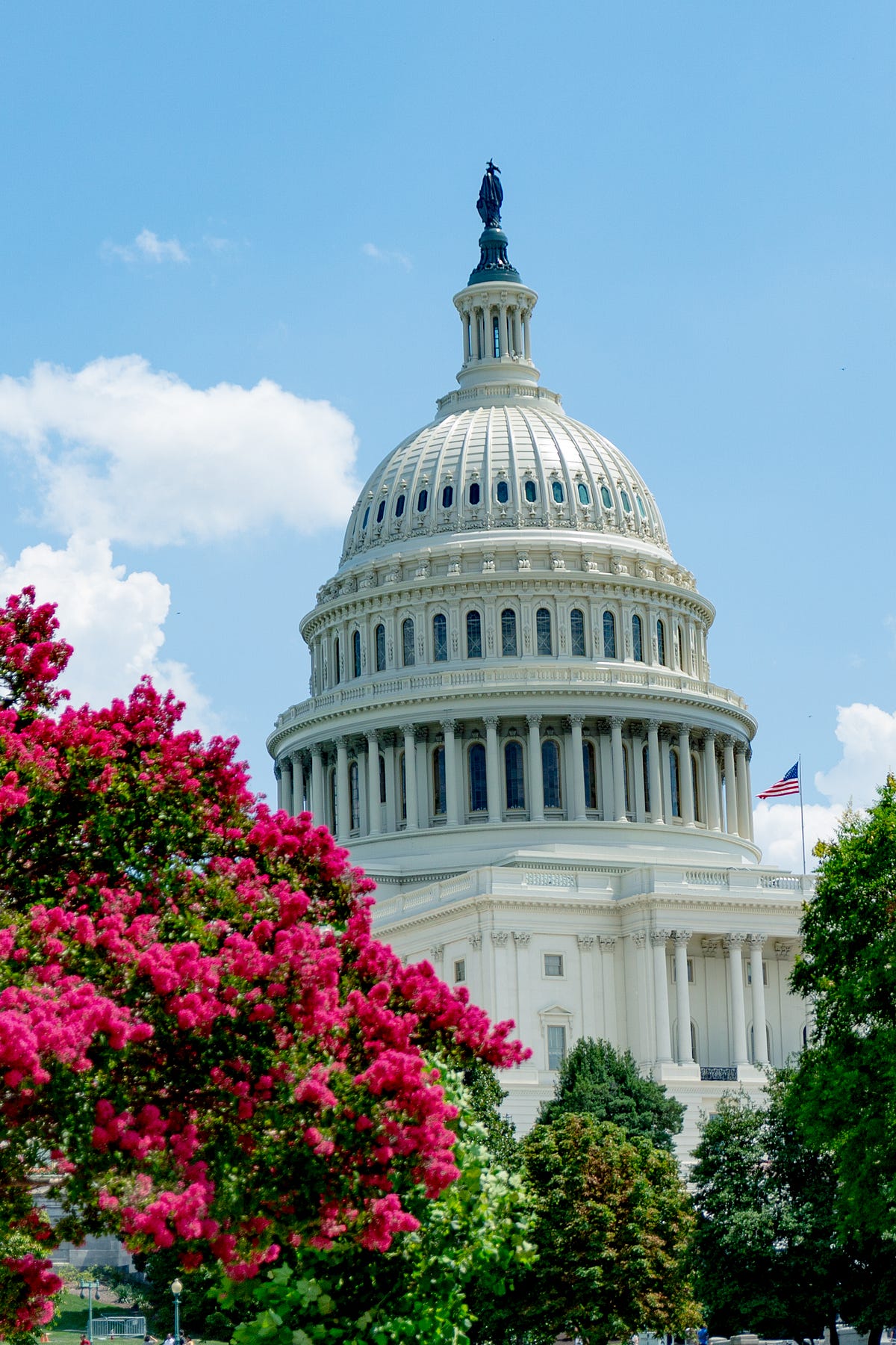 How does the 14th amendment work illumination