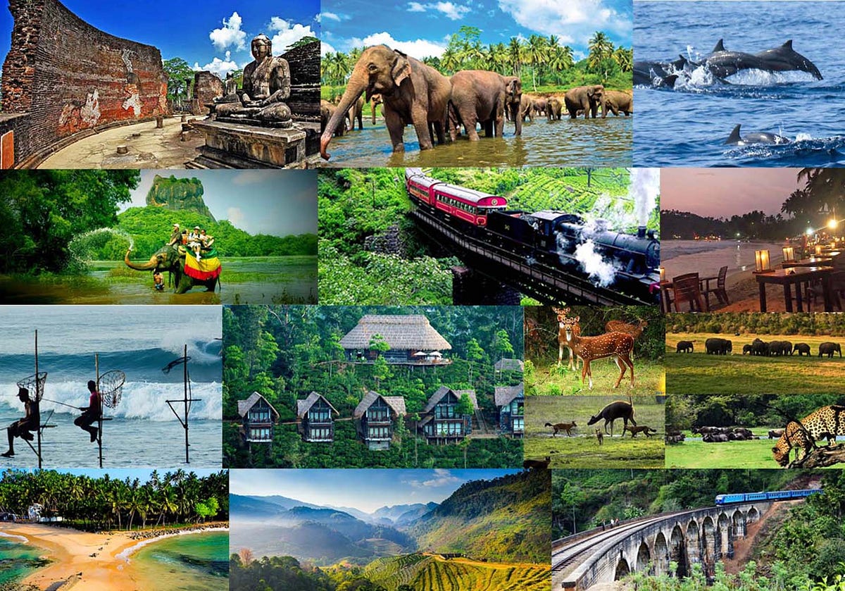 Benefits of hiring a travel agent in Sri Lanka | by Kevinbmith | Medium