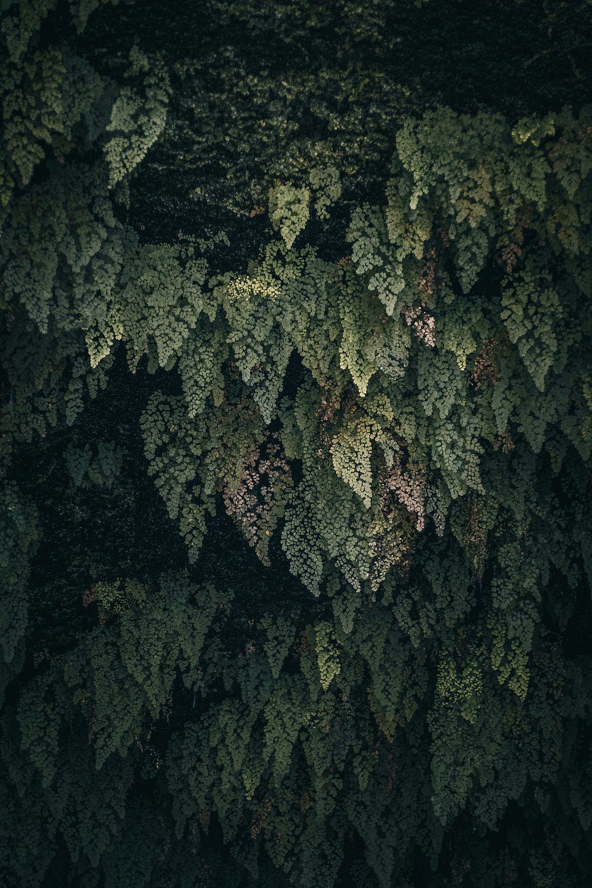 Java Backend Roadmap. The Complete Roadmap to Becoming a Java… | by ...