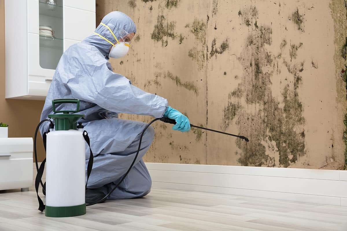 Expert Crawl Space Cleaning Near Me for a Healthier Home