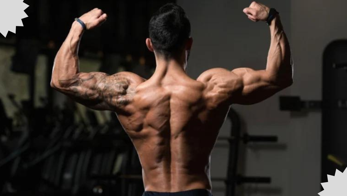 20 Best Back Exercises & Back Workouts for Building Muscle - Fitbody_ninja  - Medium
