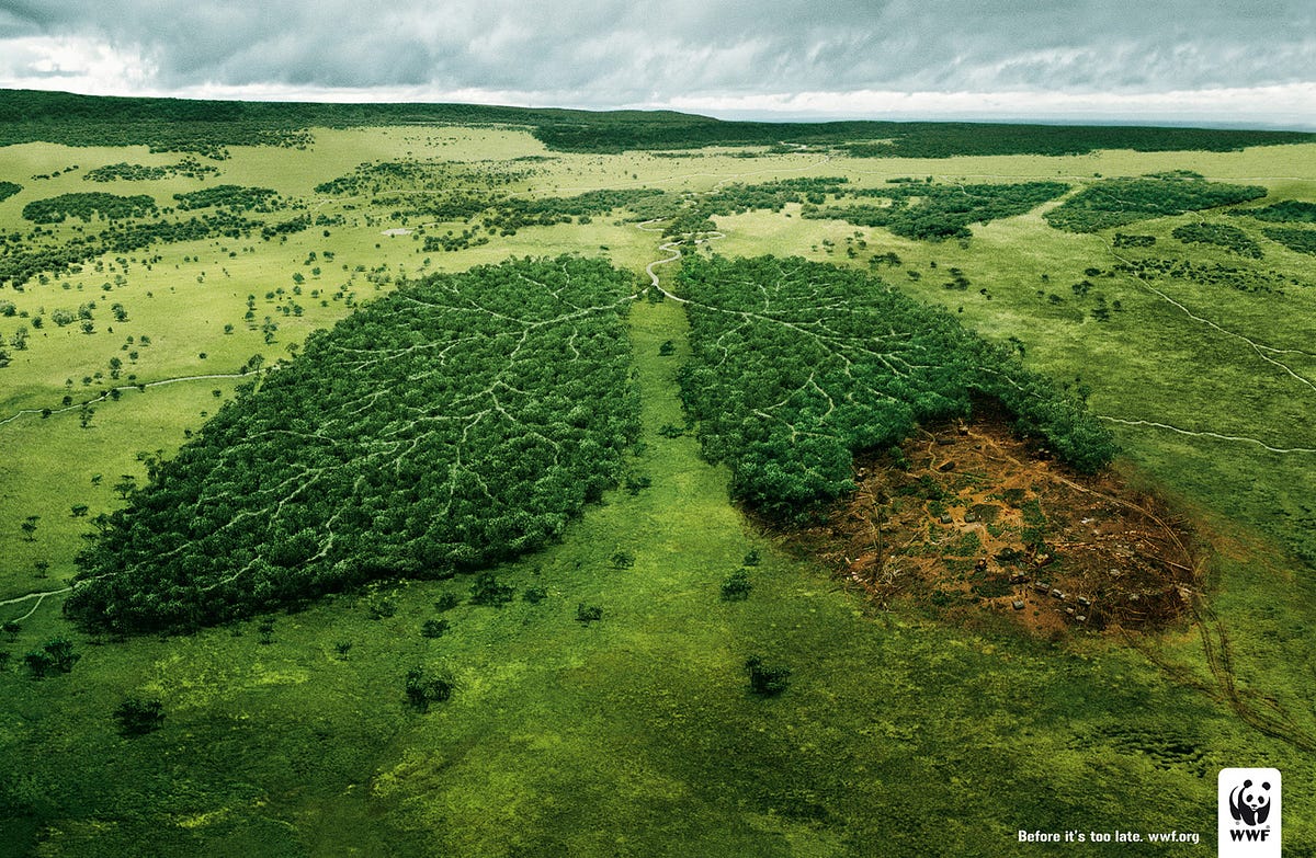 7 Astonishing Print Ads by WWF. Look, be astonished, learn — print… | by  Eszter Brhlik | Better Marketing