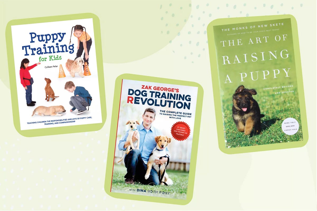 The 7 Best Dog Training Books of 2024 by Sophia Roy Medium
