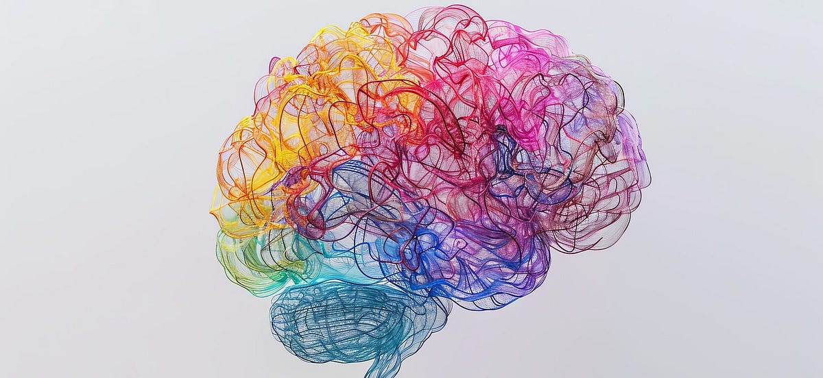 New Research Shakes Up Our Concept Of The Brain: Three Big Brain ...