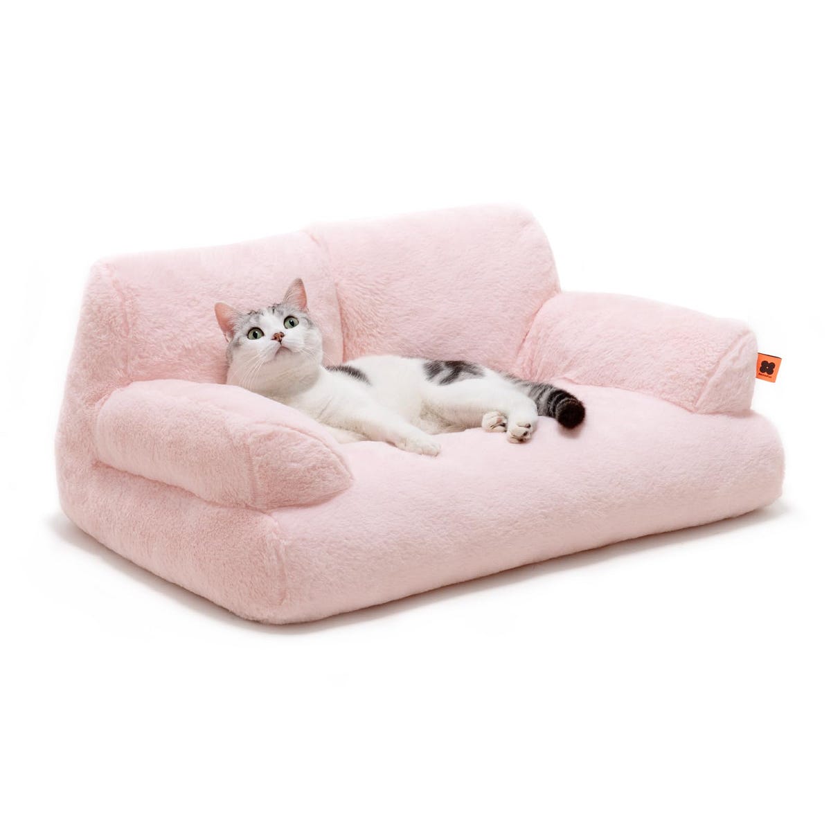 5 Best Couch for Cat Owners Top Picks for Comfort and Durability in