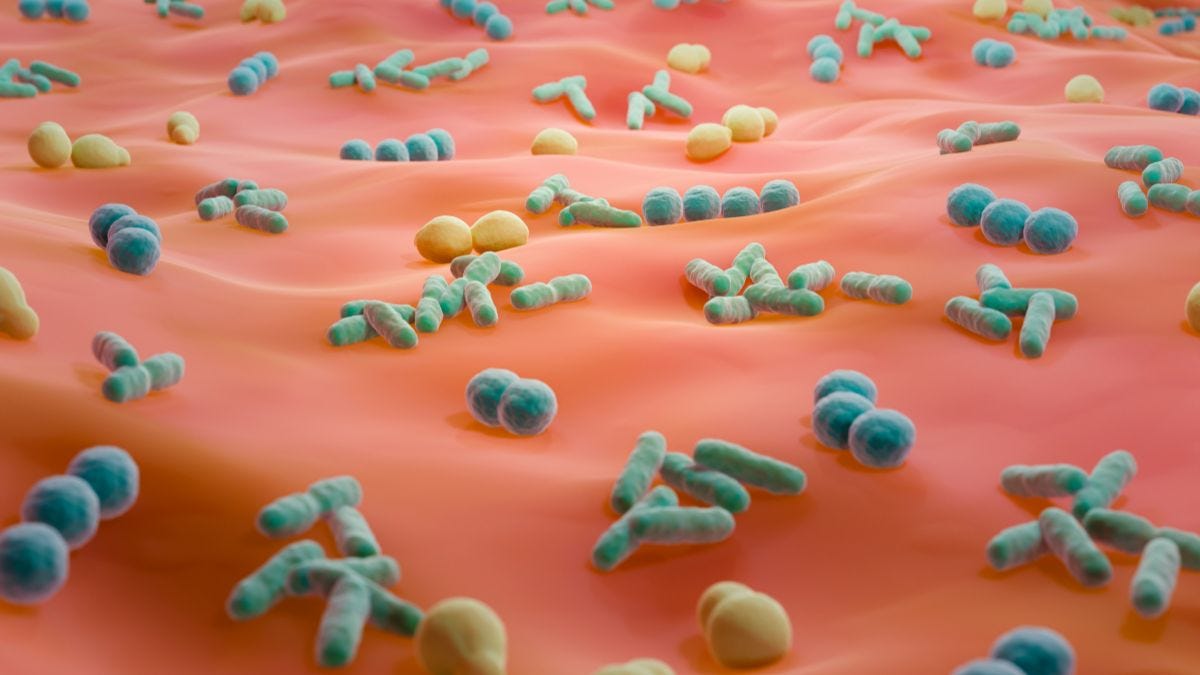 Tiny Tenants, Big Drama: The Skin Microbiome