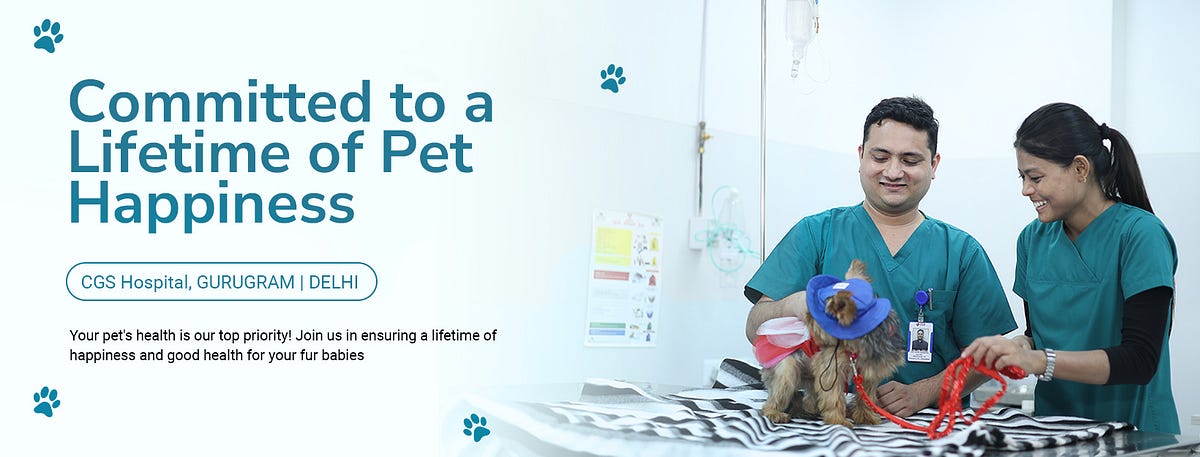 veterinary-hospital-near-cgs-hospital-by-cgs-hospital-oct-2023