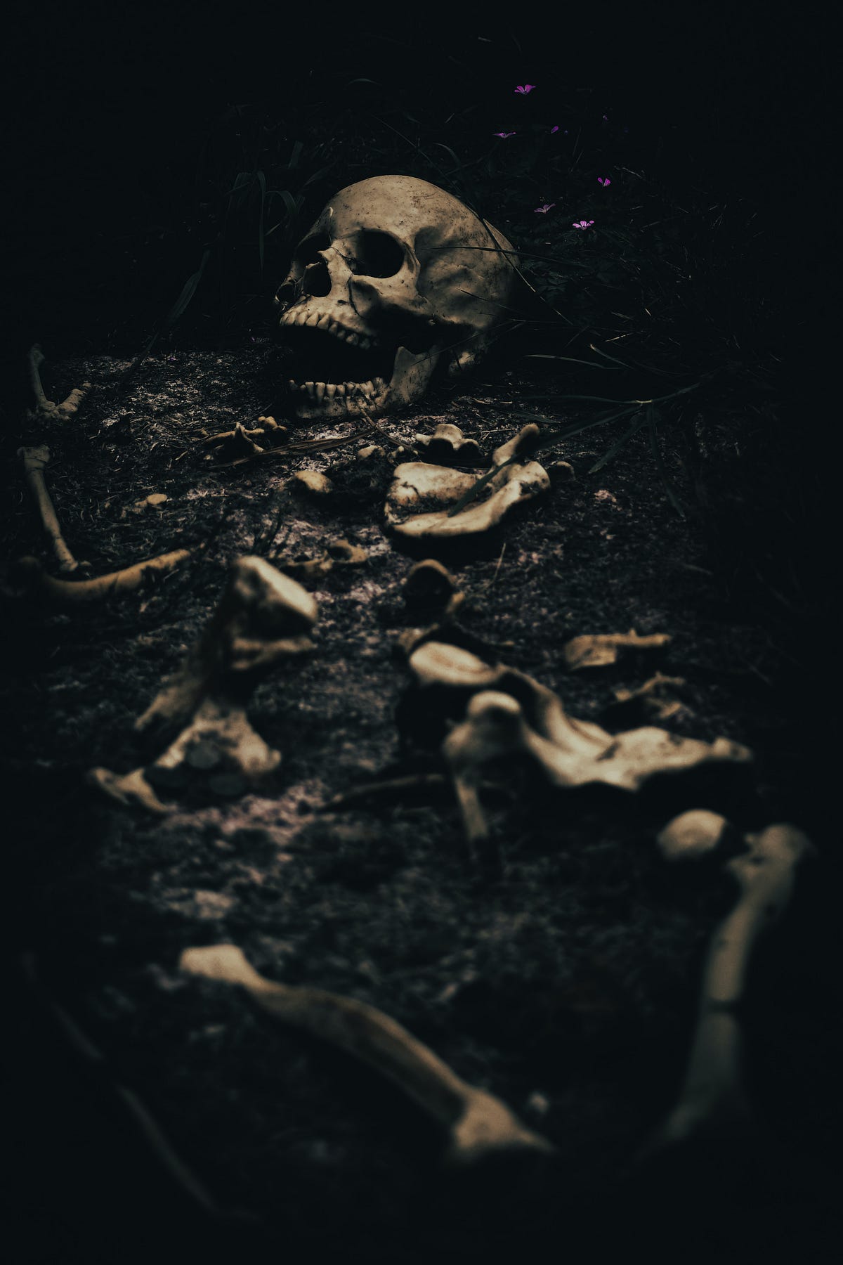 The Best Books to Read Before You Die