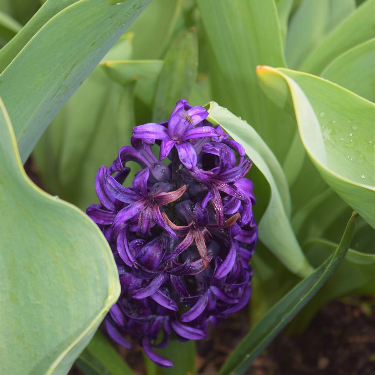 Unveiling the Hidden Gems: Exploring Lesser-Known Travel Destinations