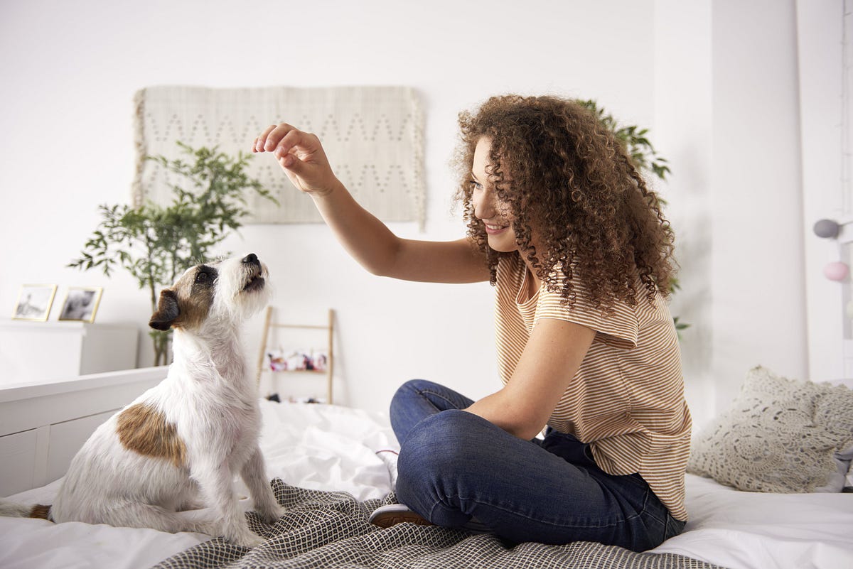 HOW MY PET HELPED ME TO REDUCE STRESS by mrnmrspet Medium