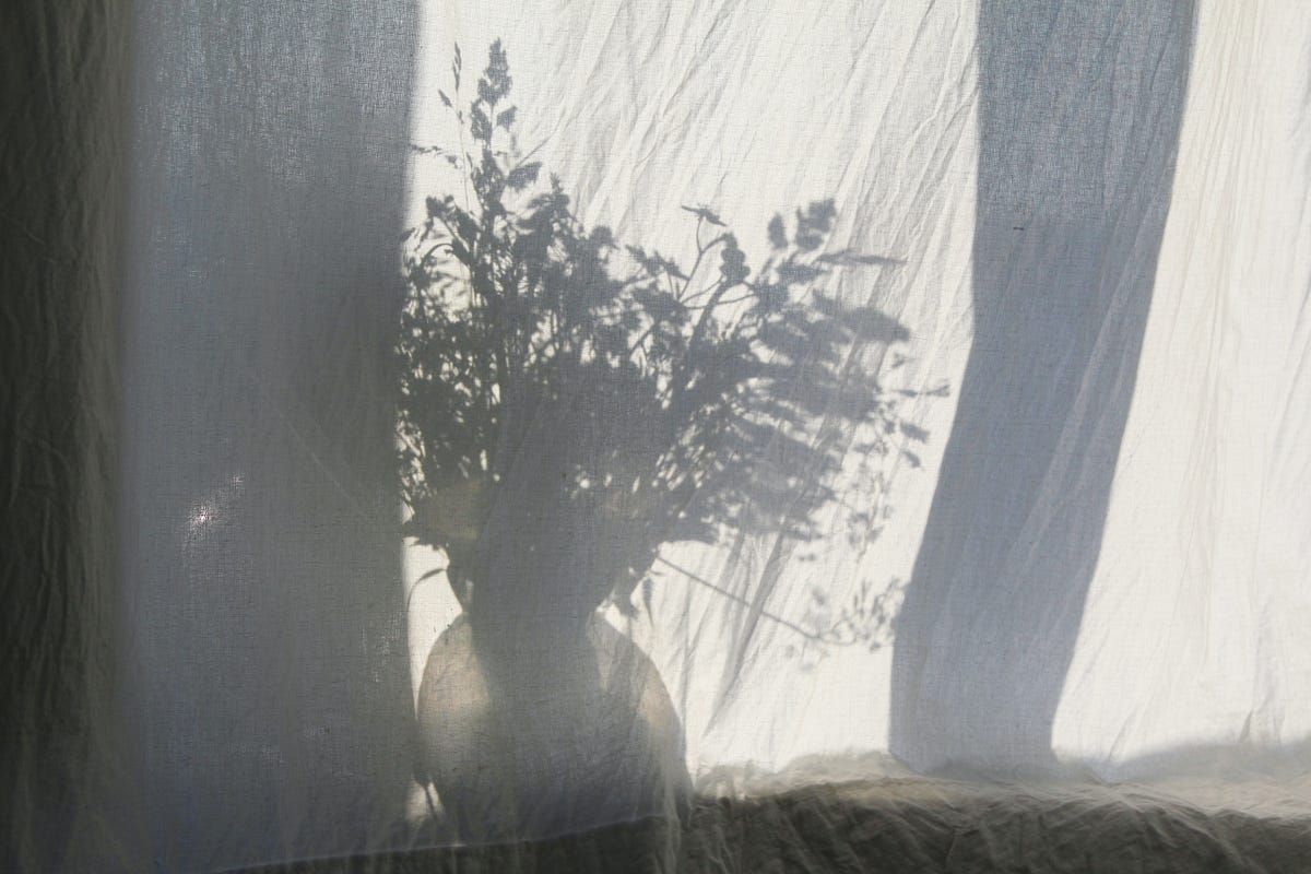 The Fogged-Up Window. Prose Poem | by A.H. Mehr | Write Under the Moon ...