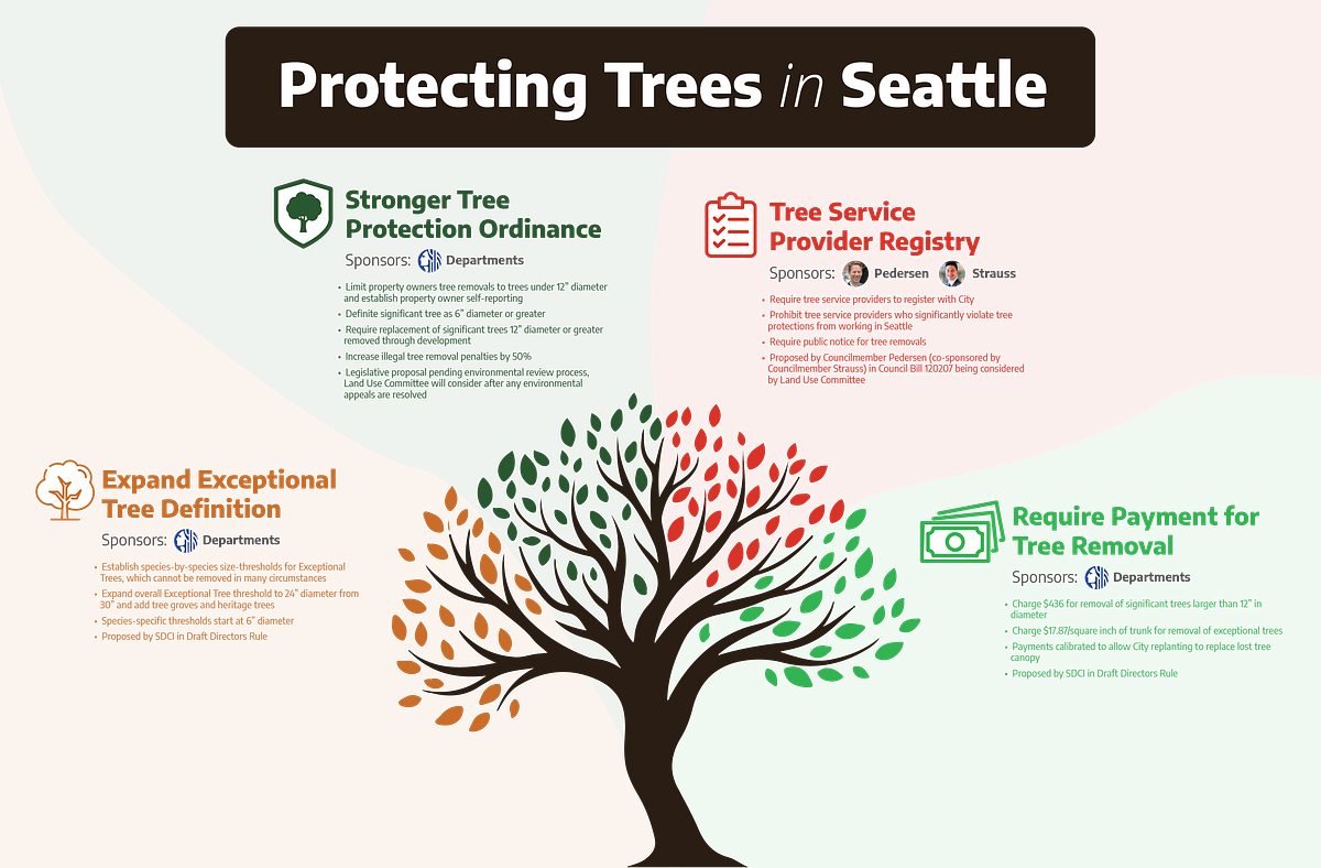 City of Seattle Tree Removal: Expert Guide & Tips | by latoya butler ...