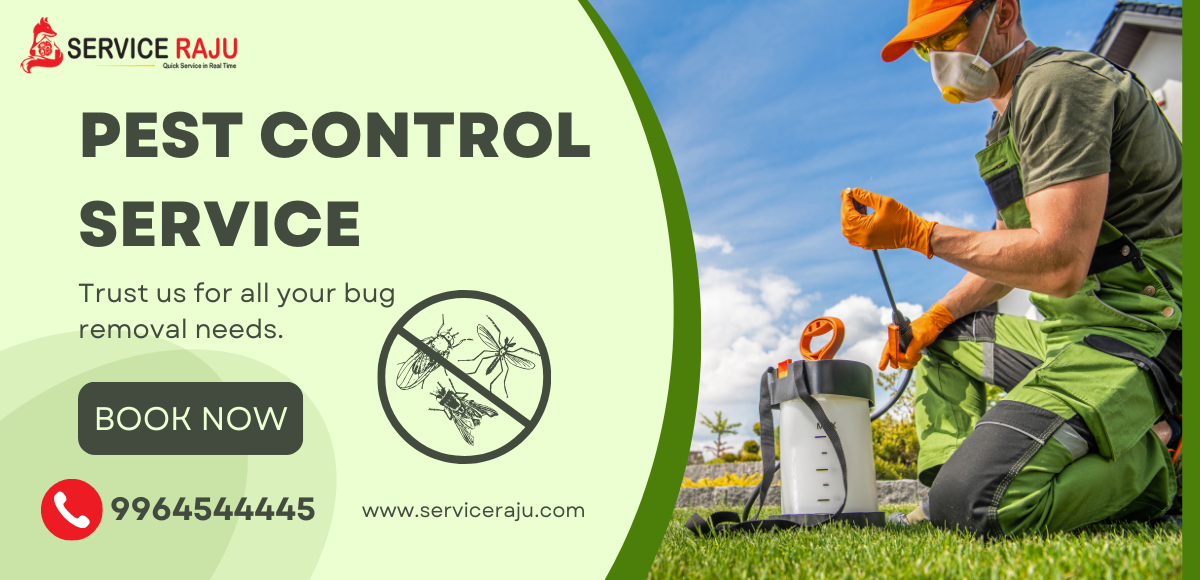 🐜 Say Goodbye to Pests with Our Professional Pest Control Service! Call ...