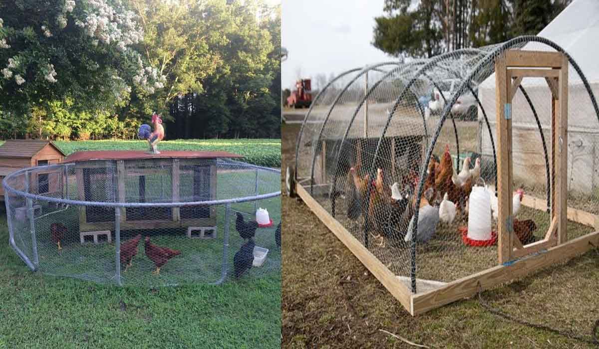 What to Do with Your Old Trampoline? Creative Ideas! Skye Medium