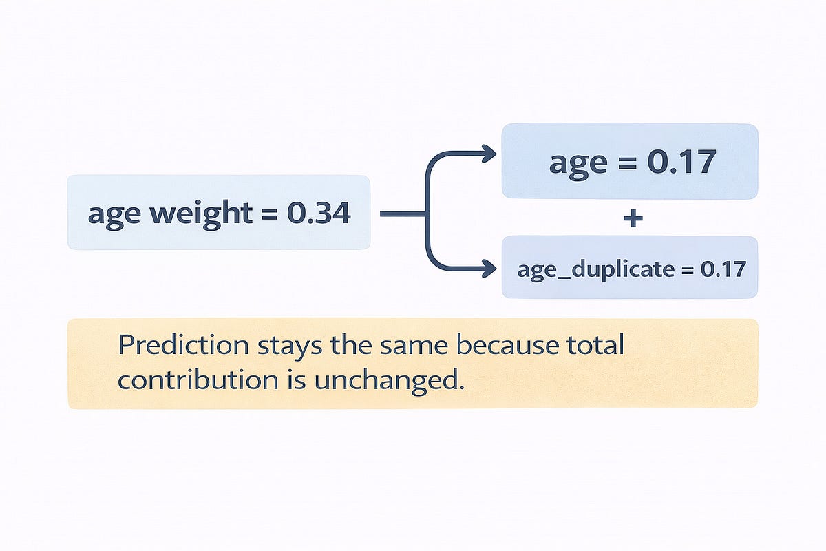 Why Duplicating a Feature Doesn’t Change Your Model (And When It Does ...