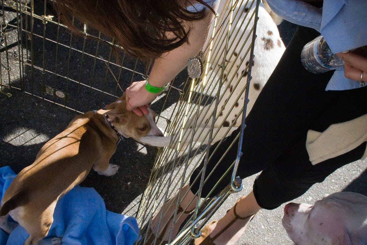 Image of: Seven Ways to Make San Francisco a Better Place