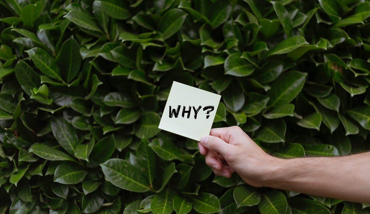 Finding Why. The Power of Knowing Your “Why”… | by Naresh Sekar | Medium