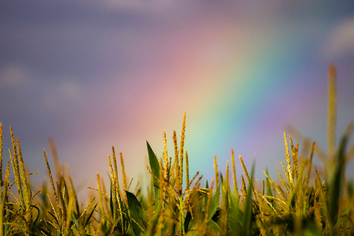 Discovering A New Path My Career Change From Talent Acquisition To