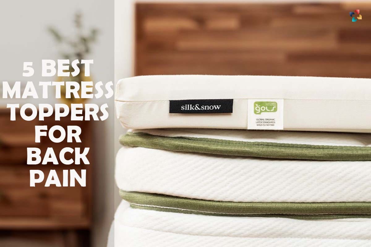 5 Best Mattress Toppers for Back Pain by Thelifesciencemagazine Medium