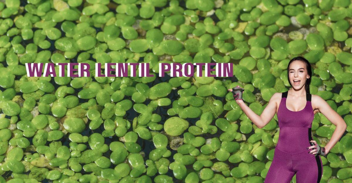 Water Lentil Protein Powder: Benefits, Dosage, And Side Effects | by  Justfocuswell | Medium