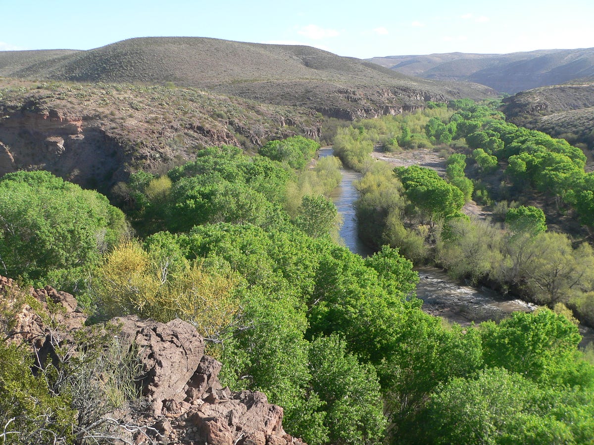 The Gila River The Southwest’s Threatened Eden by Defenders of