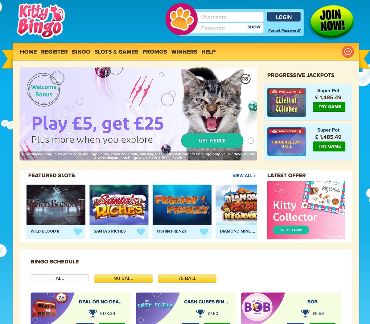 Kitty Bingo Bonus by Medium