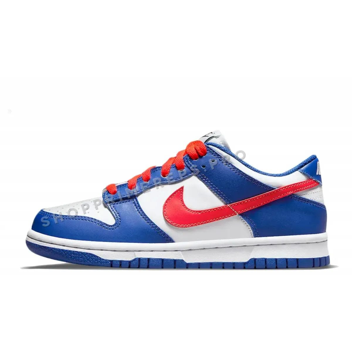 dunk low expensive