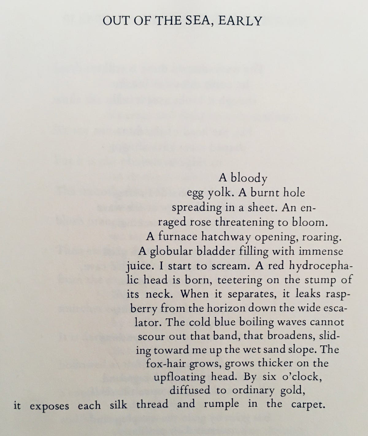 The Meaning & Melody of Form. Line-Breaks and Structure in Poetry | by Ray  Harvey | Lit Up | Medium