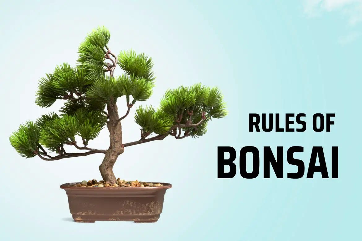 Rules of bonsai — What are the rules of bonsai? by Bhupinder Singh