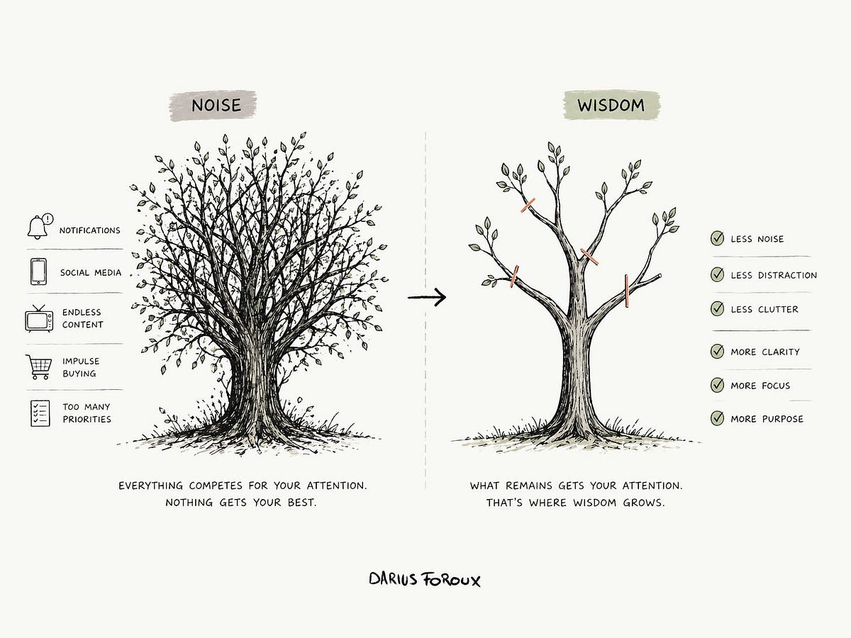 The Basics of Becoming Wise