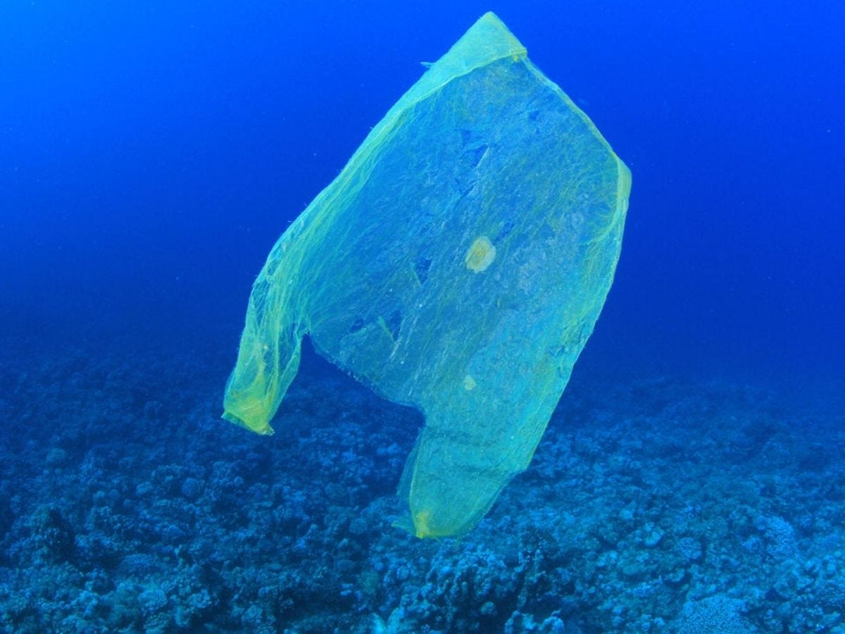 To-go coffee cups shed trillions of plastic particles under normal use