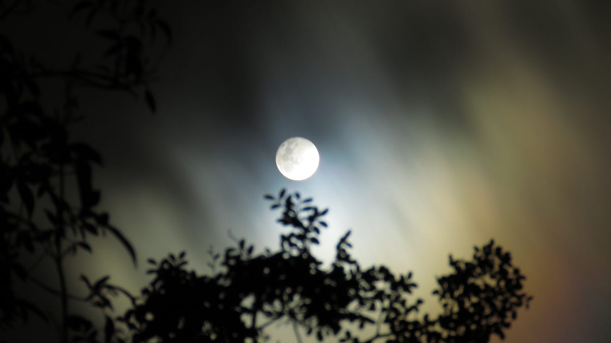 Haiku at Night. a poem | by A. Christine Myers | The POM | Medium