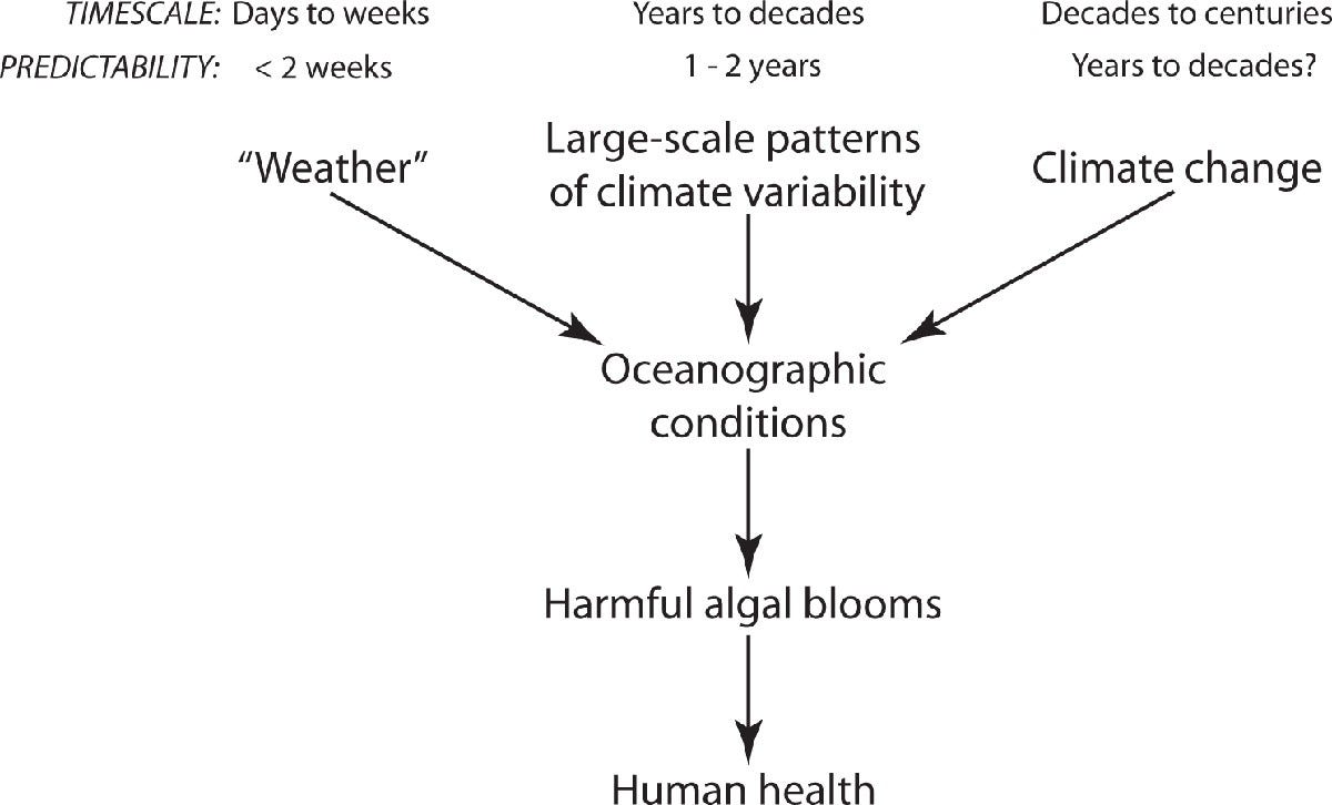 Humanity’s Effects on Harmful Algae Blooms (HABs) with Respect to