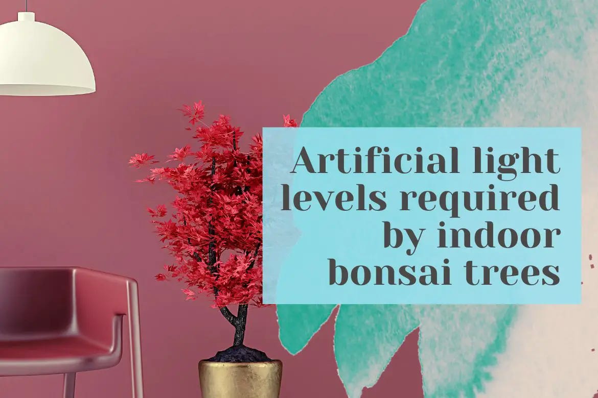 Artificial light levels required by indoor bonsai by Bhupinder Singh