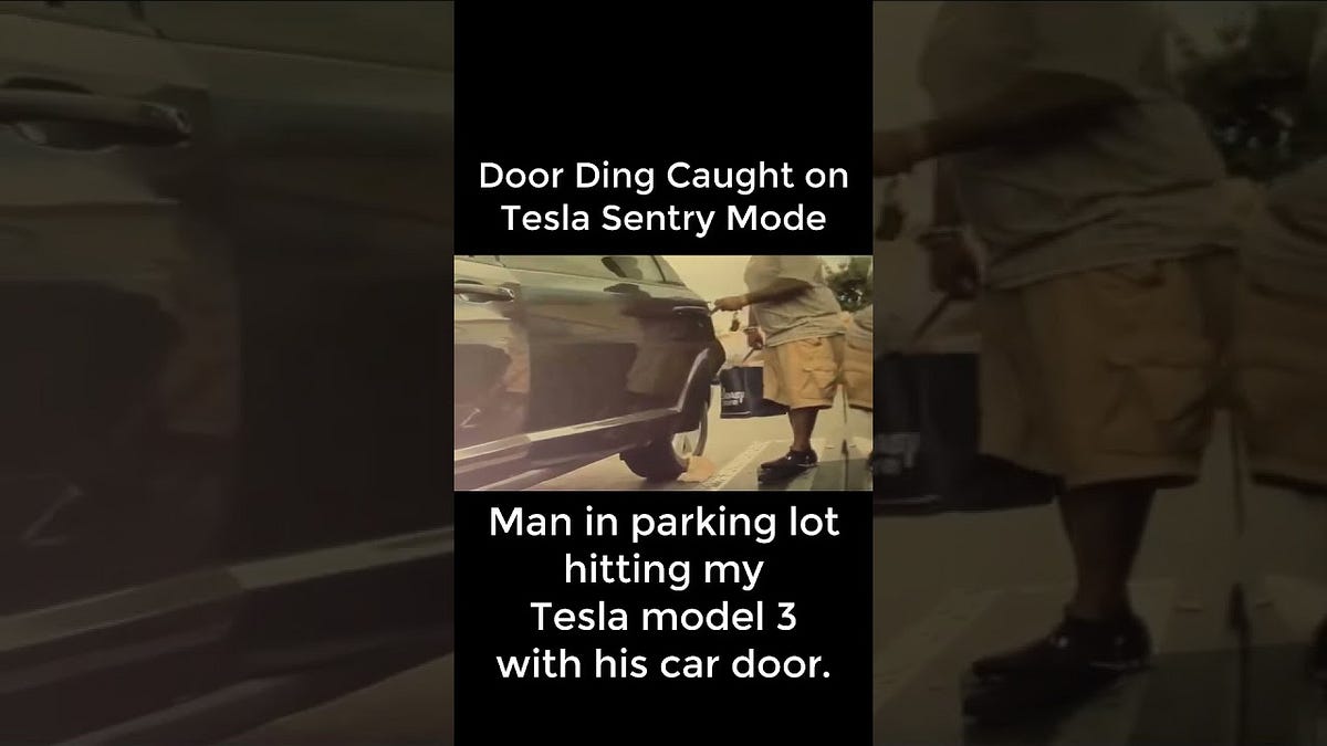 Door Ding Caught On Tesla Sentry Mode | Teslcam Live - TeslaCam Live ...