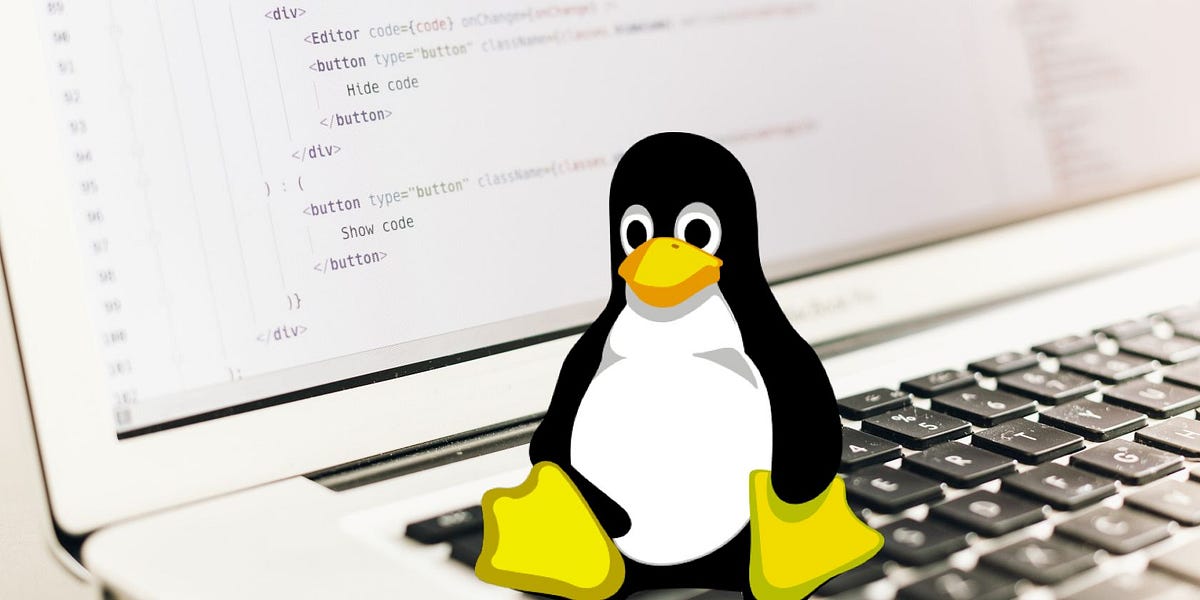 Day 8 Task: Shell Scripting Challenge | by Saurav Kum | Medium image.