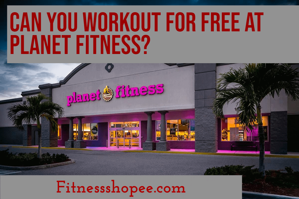 Can you workout for free at Fitness? by