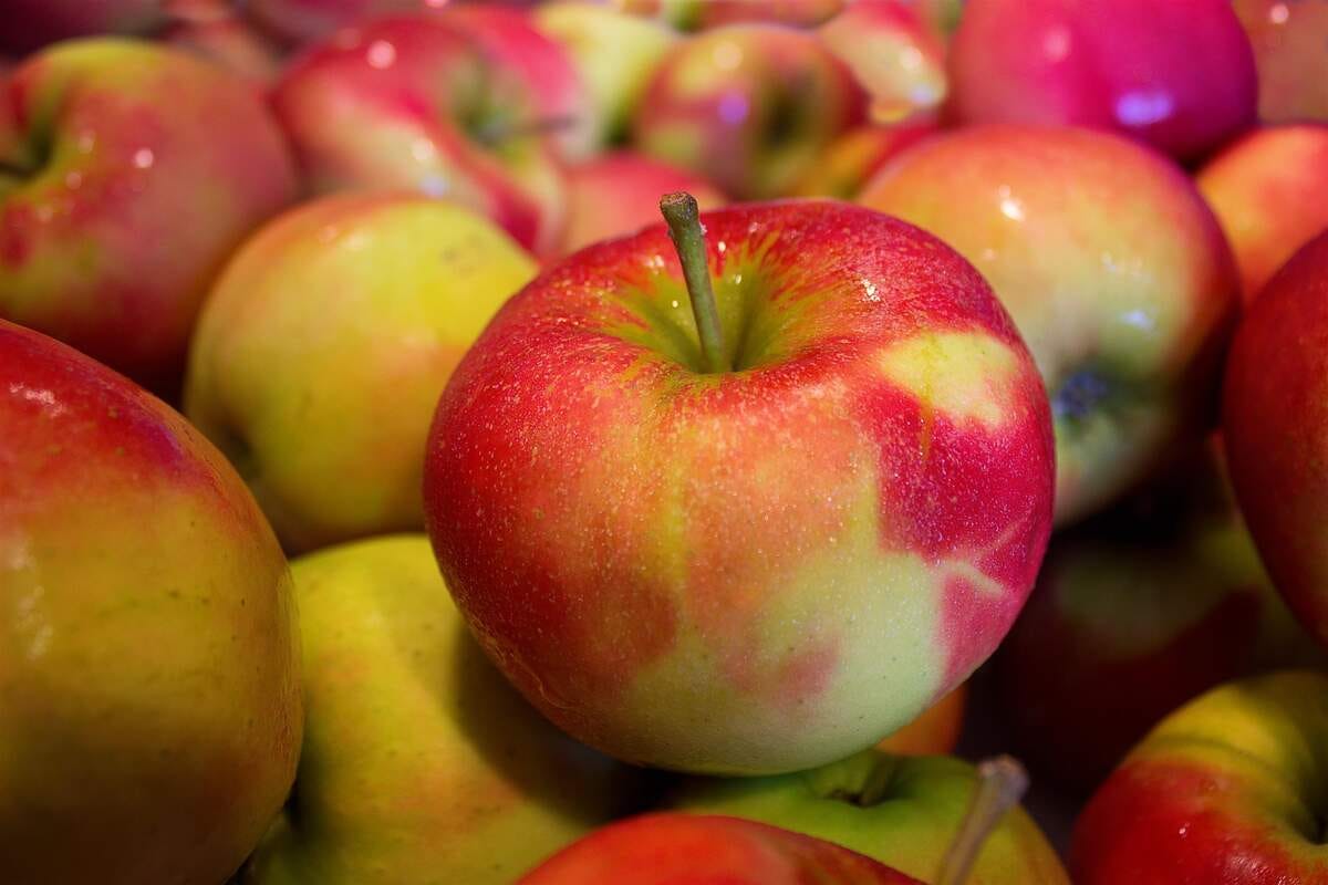 It’s Apple Day October 21, 2024 by Checkiday Oct, 2024 Medium