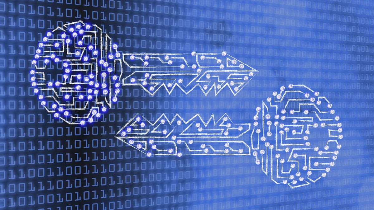 Crypto….sorry not that kind. Alice and Bob and Two Keys | by Dion F. Lisle  | VentureVINE | Medium