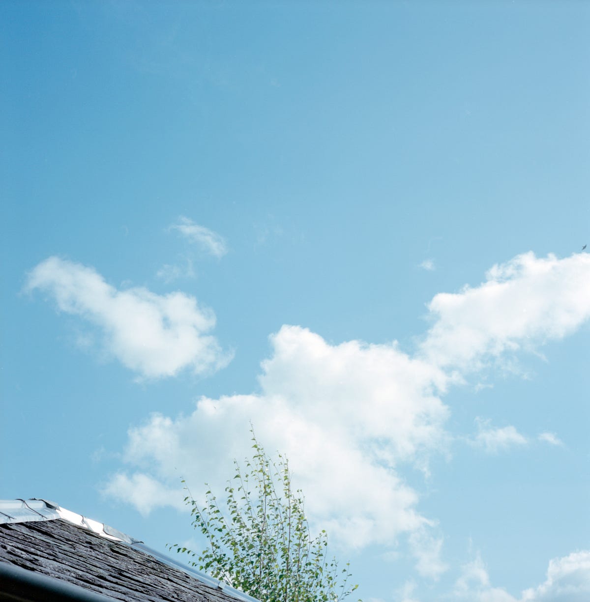 Film Scanning DSLR versus Flatbed by Stephen McAteer Dec, 2023