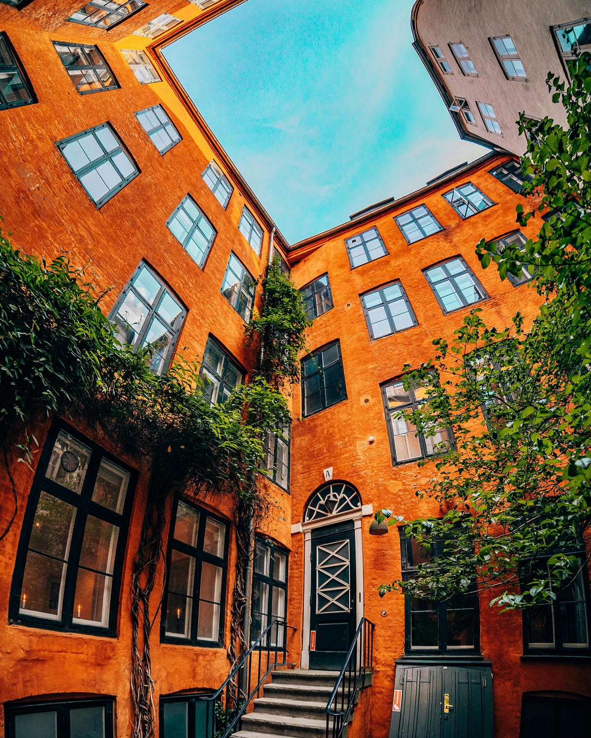 The House on Mango Street by Sandra Cisneros (summary) | by Bryan A ...