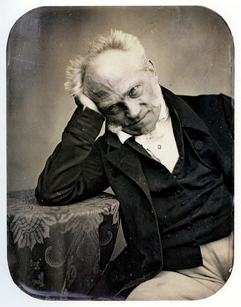 A Short Biography of Arthur Schopenhauer | by Tiago Bele | Thoughts And  Ideas | Medium