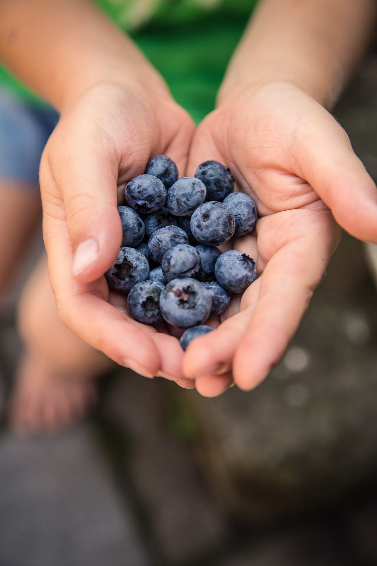 The Effects of Blueberries Unveiling the 9 Remarkable Health Benefits! sungtaek Medium