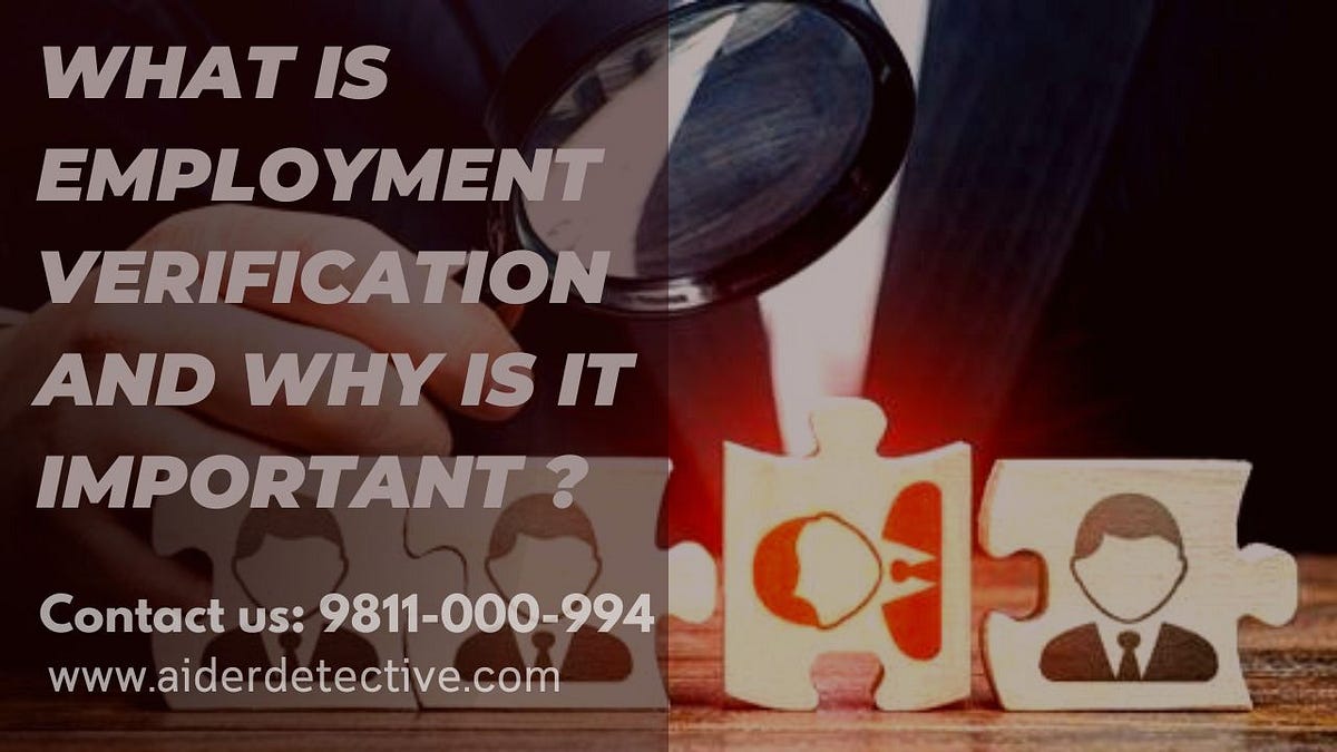 what-is-employment-verification-and-why-is-it-important-by-private